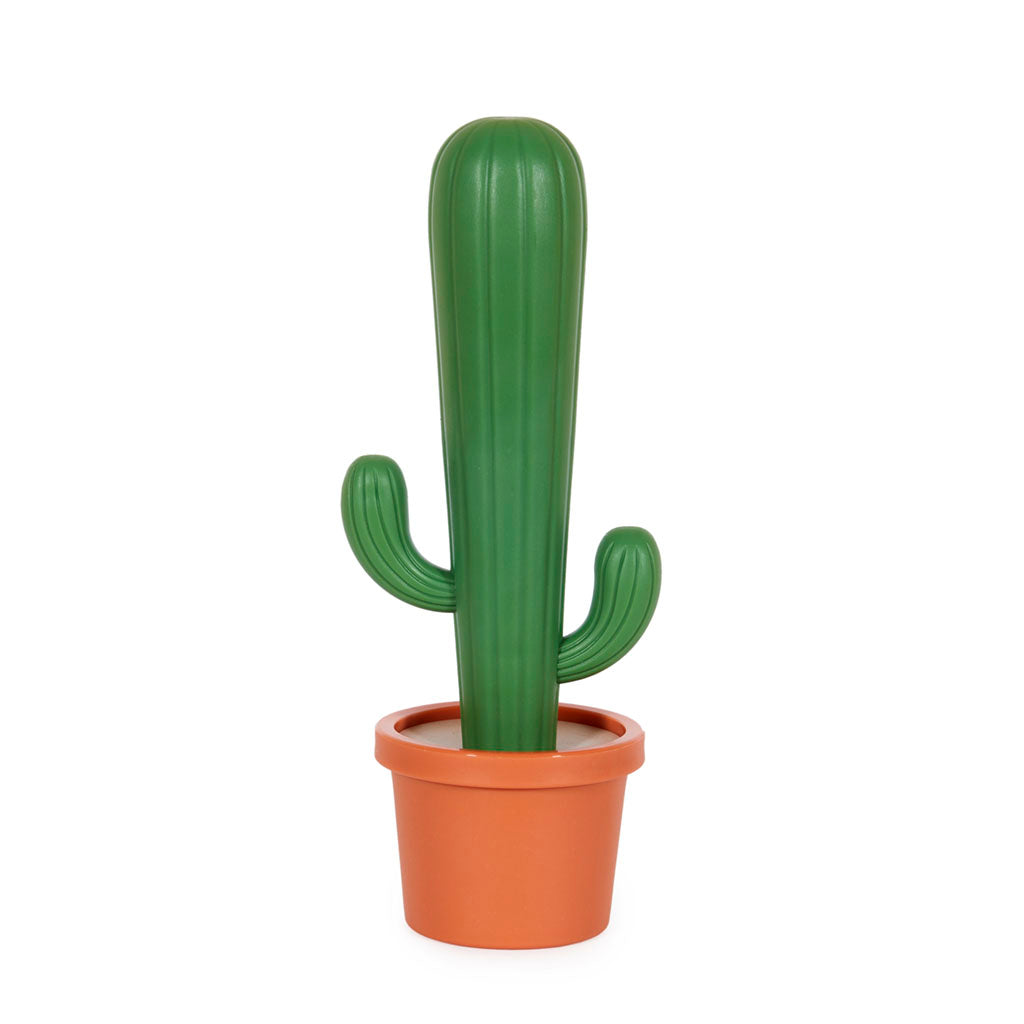 cactus brush Cactus Dish Brush