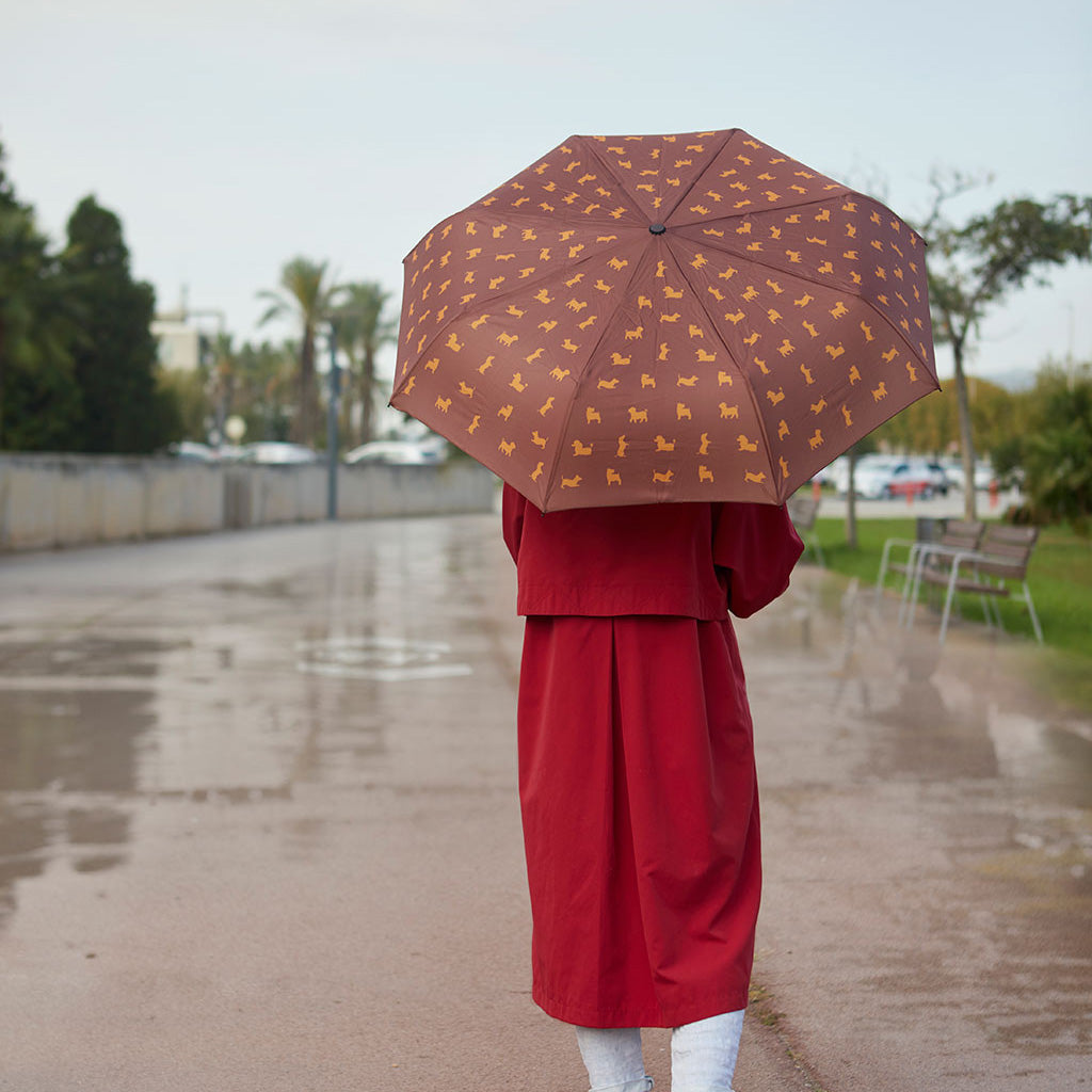 Puppymbrella Umbrella