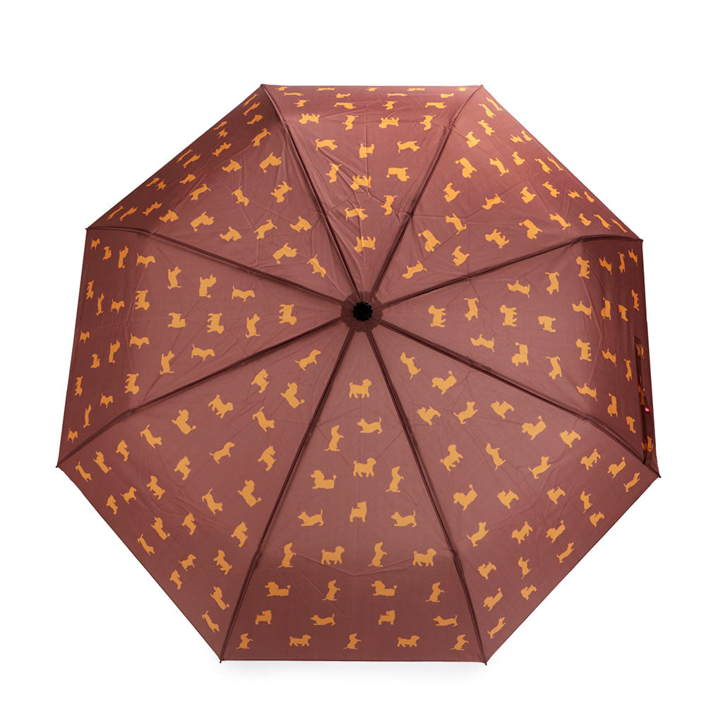 Puppymbrella Umbrella