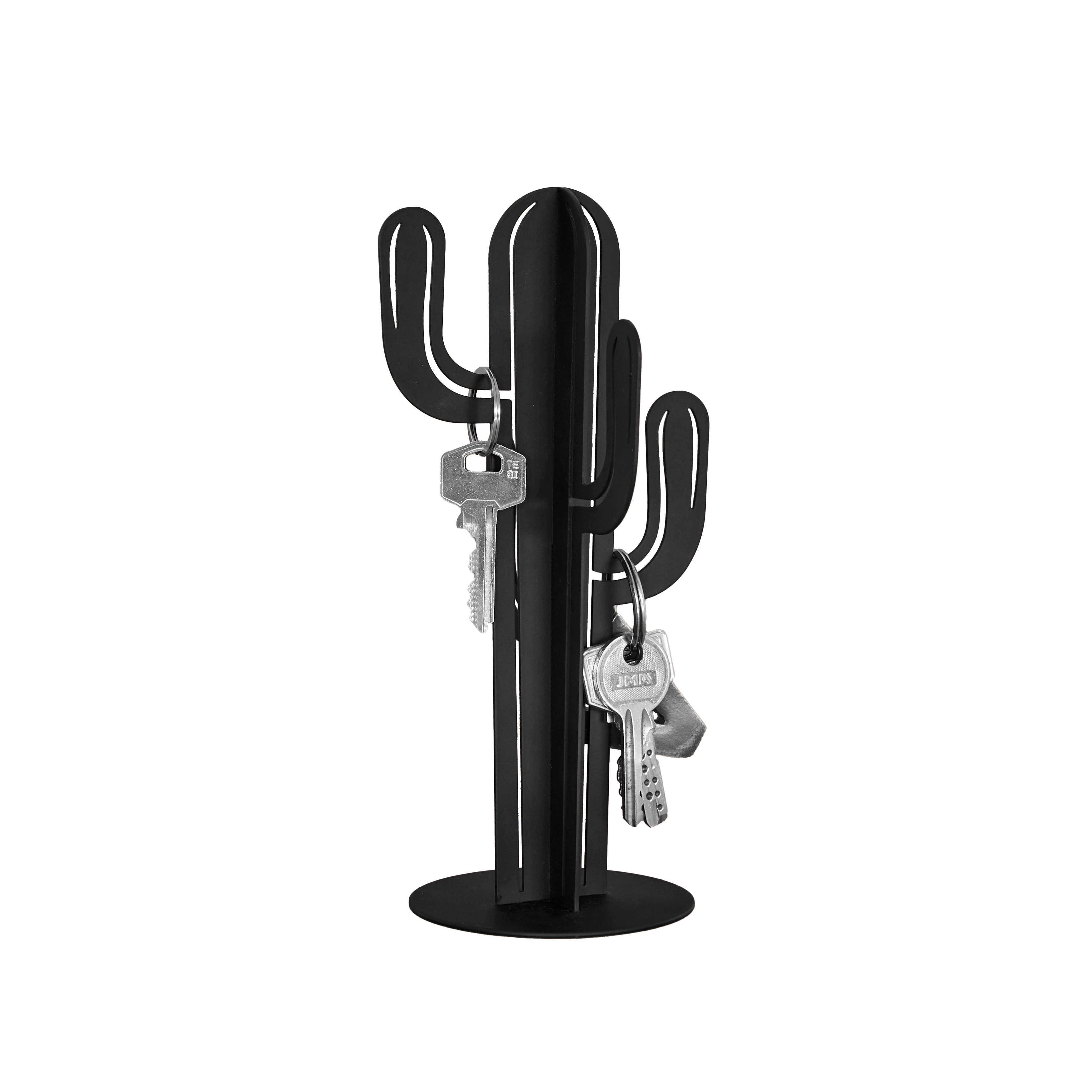 Cactus Key Hanger