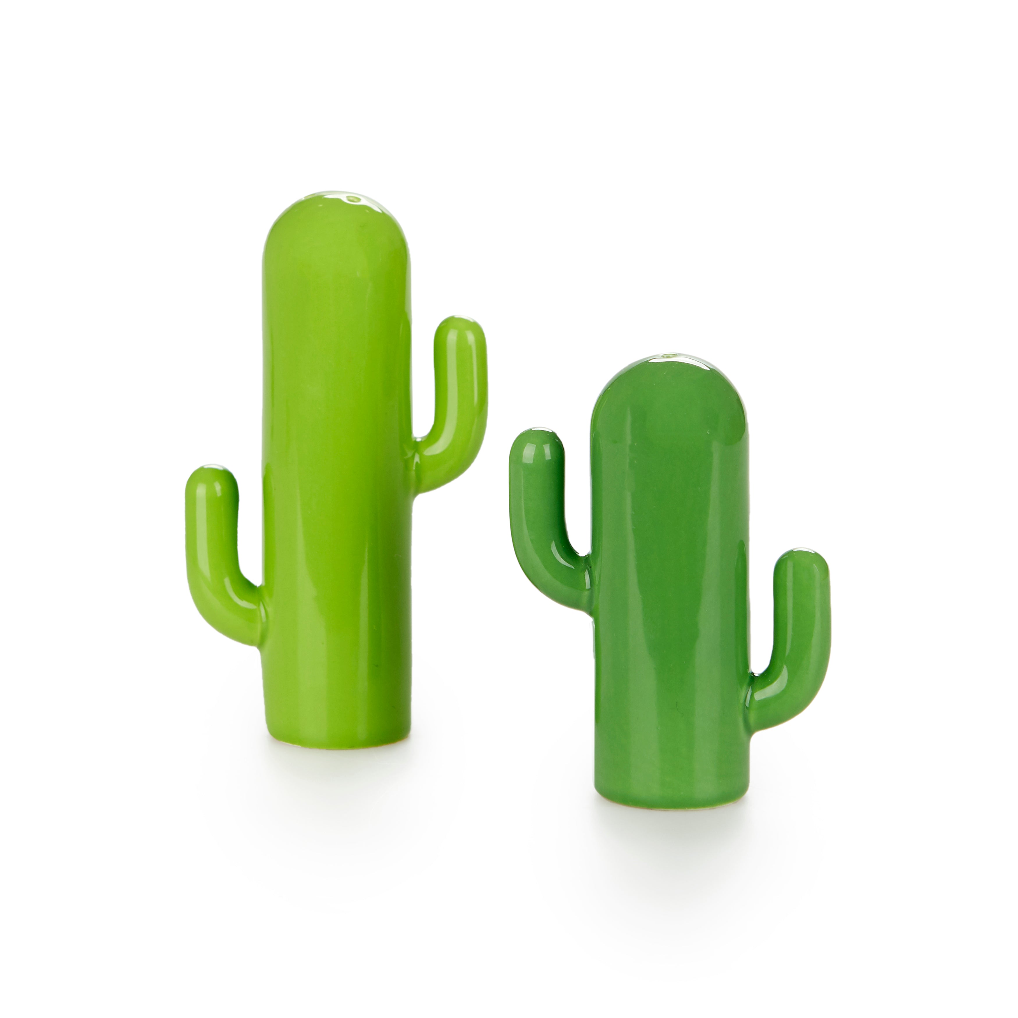 Cactus Salt & Pepper Set