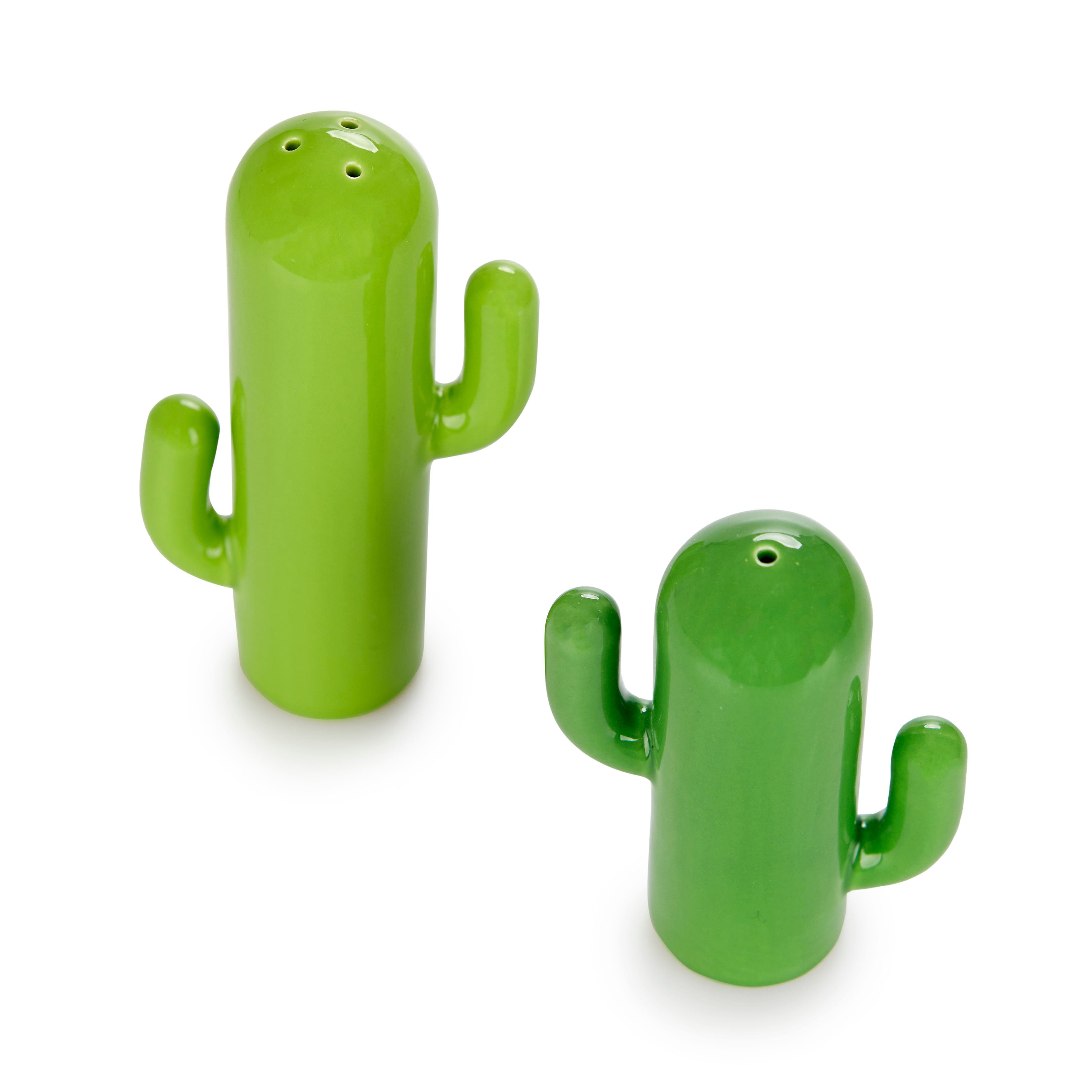 Cactus Salt & Pepper Set