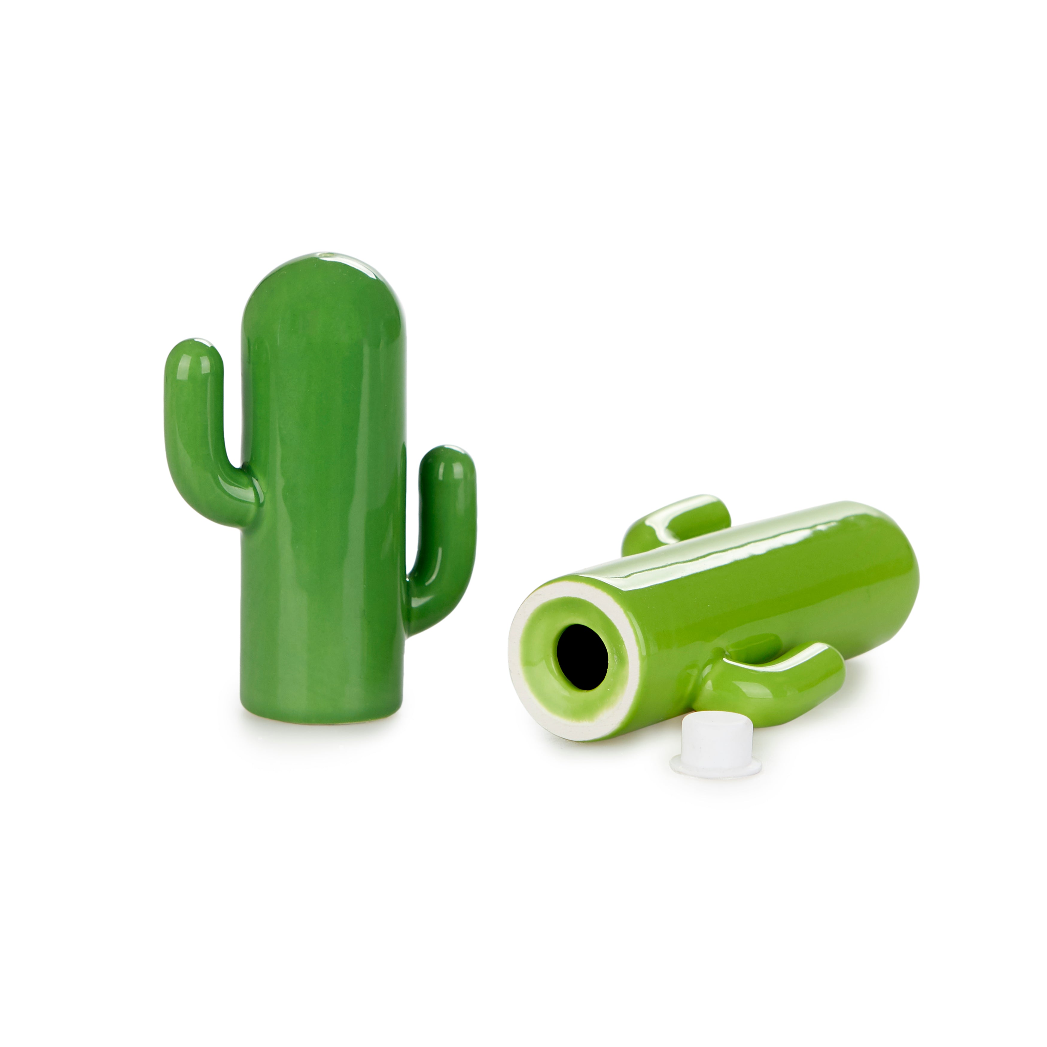 Cactus Salt & Pepper Set