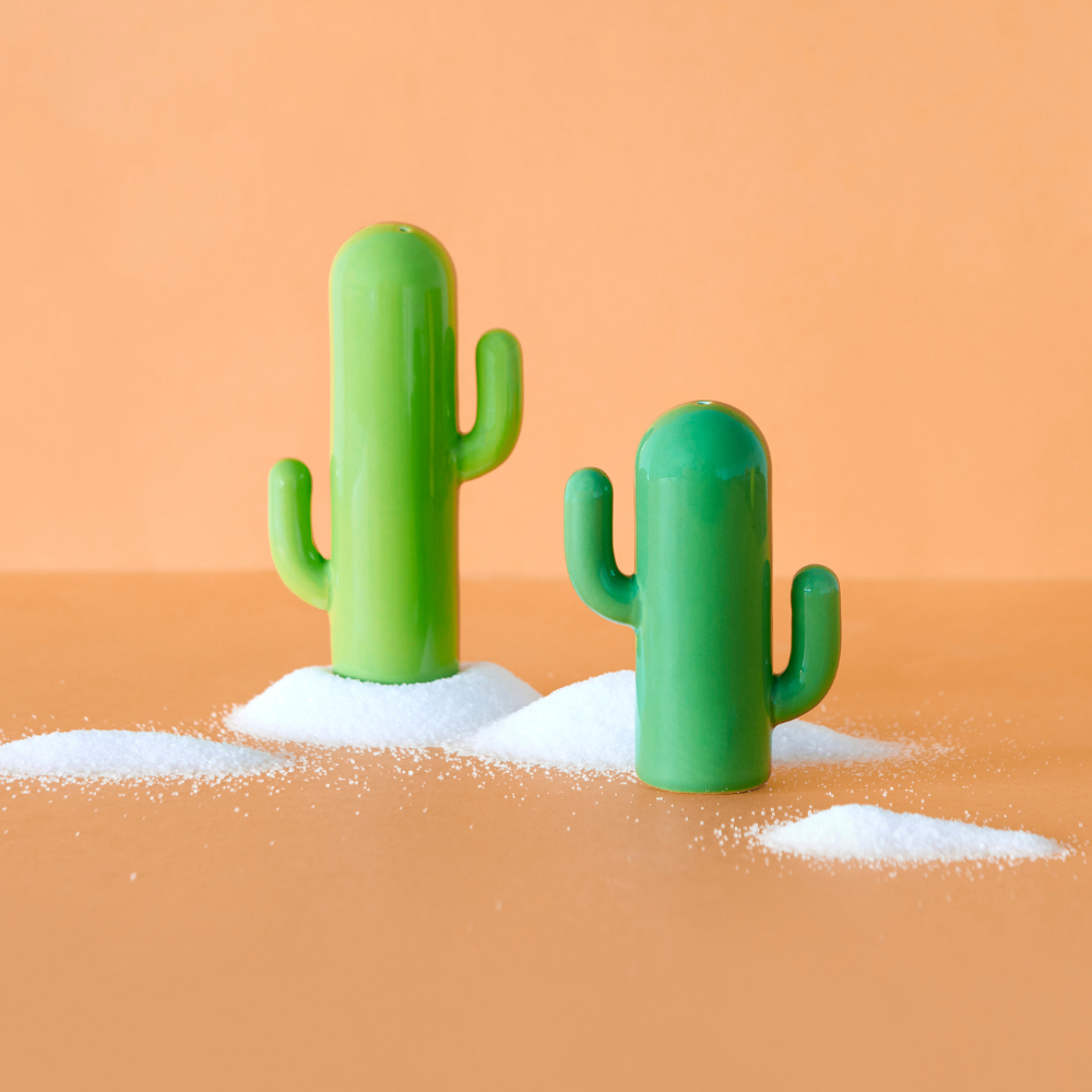 Cactus Salt & Pepper Set