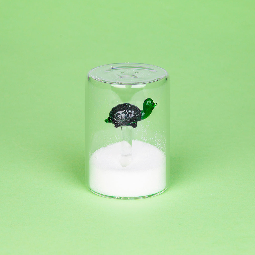 Atlantis Turtle Salt Shaker