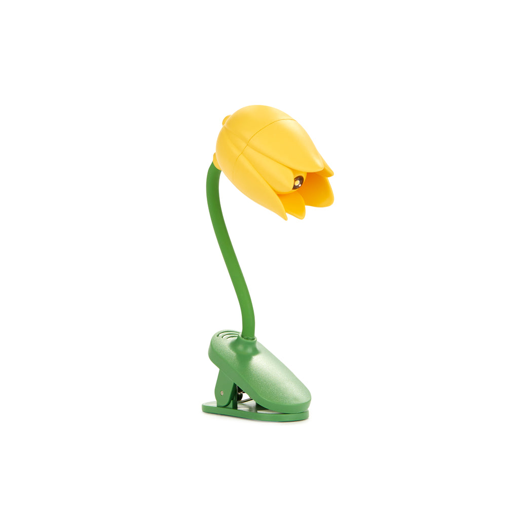 Tulip Book Light